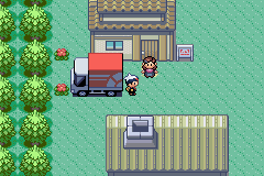 Insert (Inlay) Pokemon Sapphire miniatura 4