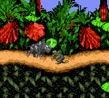 Donkey Kong Country (Game Boy Color) miniatura 3