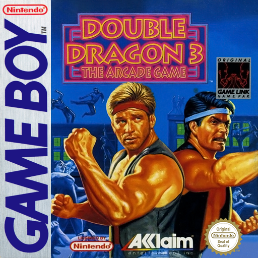 Double Dragon 3 - The Arcade Game
