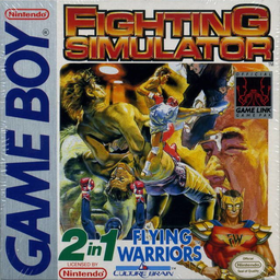 Fighting Simulator 2 in 1 - Flying Warriors
