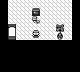 Caja Pokemon Blue miniatura 4