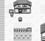 Insert (Inlay) Pokemon Yellow miniatura 4