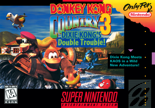 Insert (Inlay) Donkey Kong Country 3: Dixie Kong's Double Trouble (Super Nintendo) miniatura 2